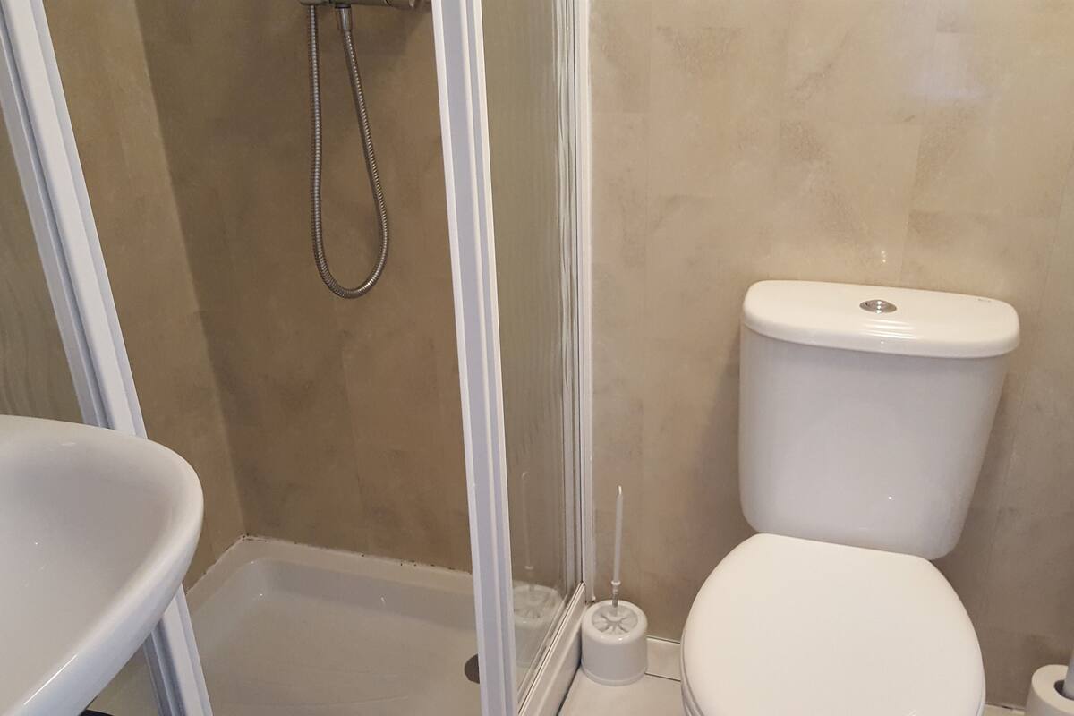 A bathroom with a toilet, a sink, and a shower enclosure.