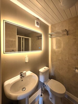 A bathroom with a sink, toilet, and a mirror.