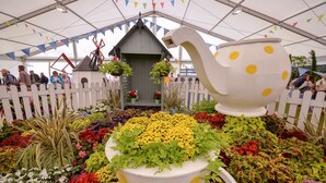 Un invernadero con cerca blanca de piquetes, una casa de madera y una maceta grande en forma de tetera blanca llena de flores.