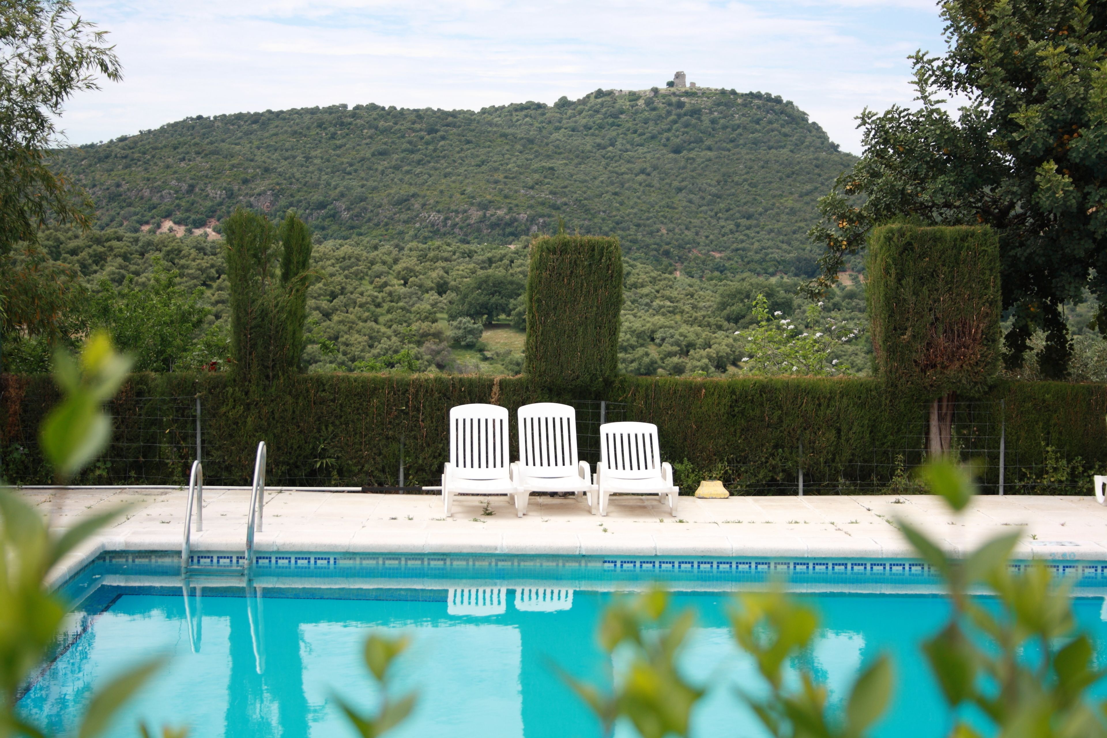 Outdoor pool, open 8:30 AM to 9:30 PM, pool loungers