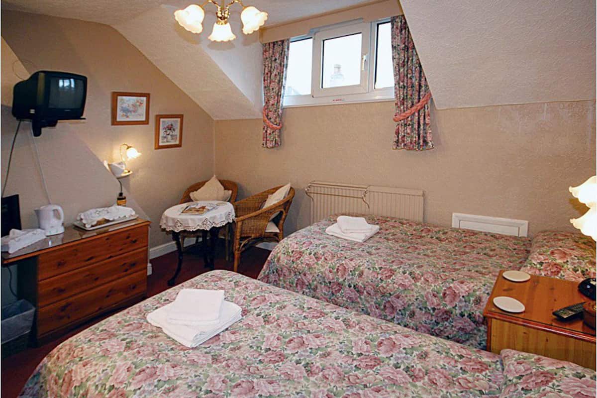 A bedroom with two beds, a dresser, a chair, a table, a radiator, a television, and a window with curtains.