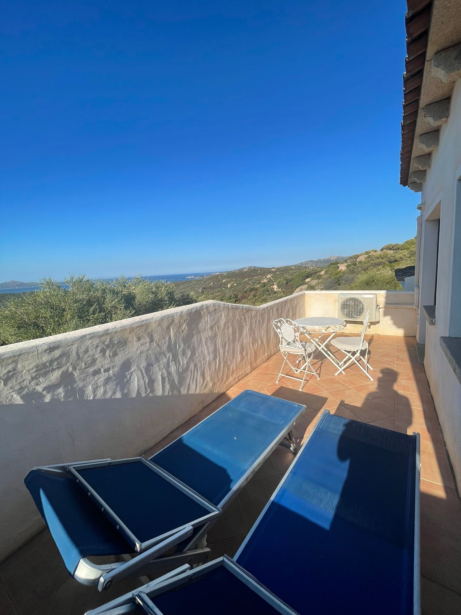 Junior suite, uitzicht op zee | Hypoallergeen beddengoed, een minibar, een bureau