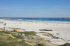 Estúdio básico, 1 quarto | Vista para praia/oceano