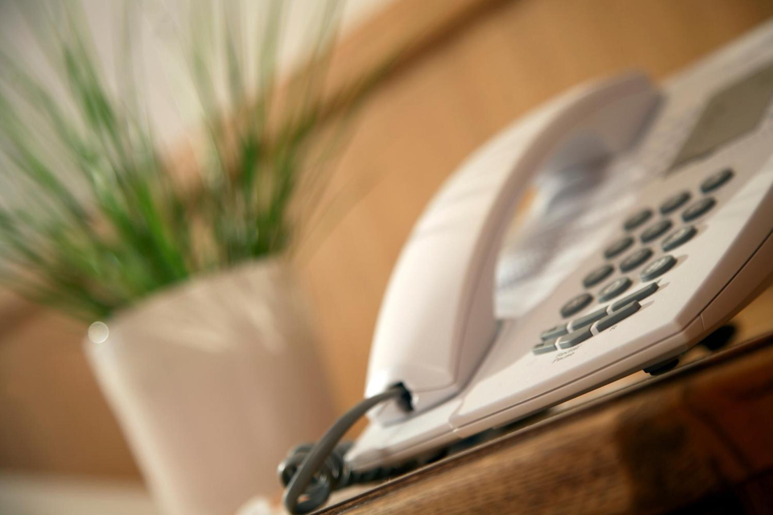 Un téléphone blanc posé sur une surface en bois, avec une plante en arrière-plan.