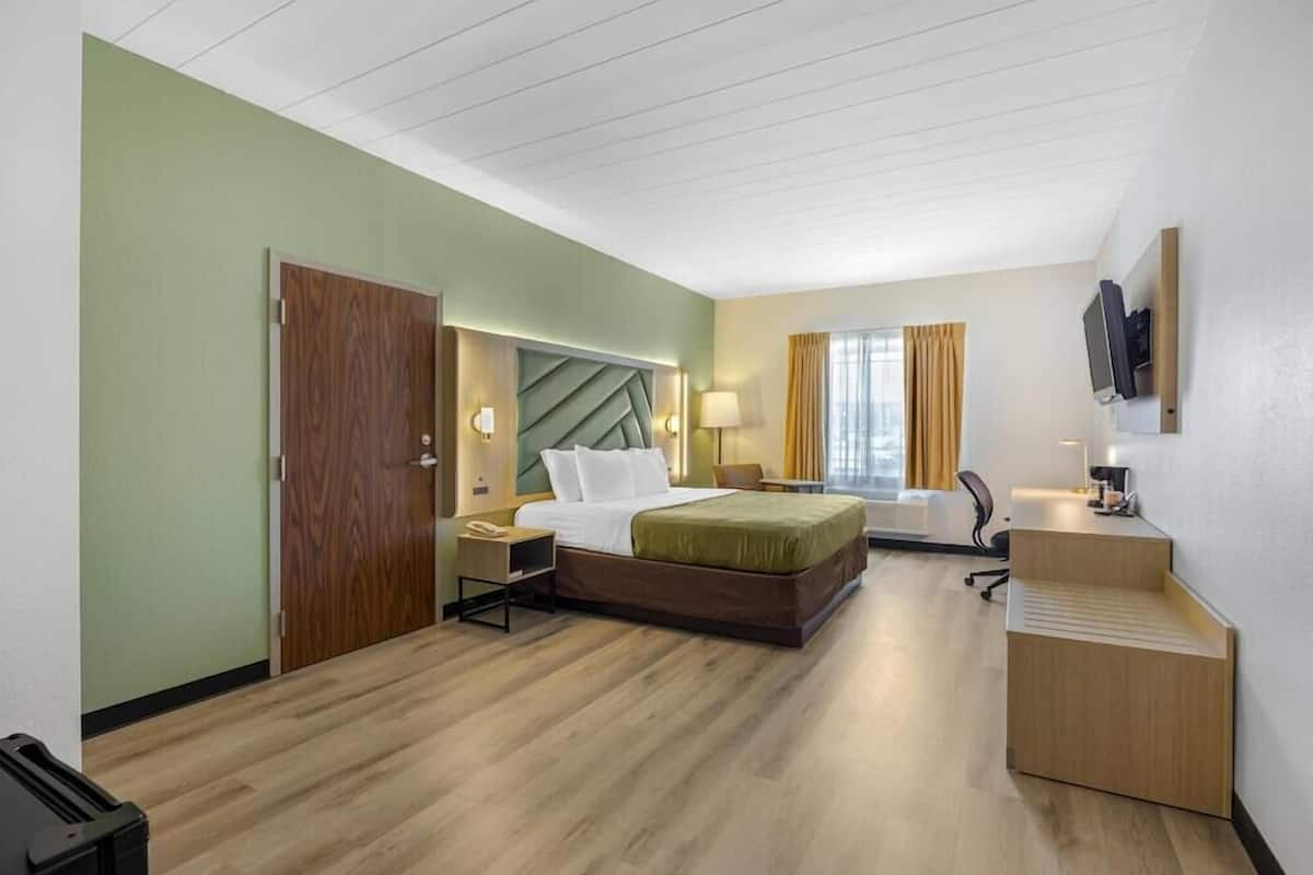 A hotel room with a bed, bedside table, lamp, desk, chair, and a TV mounted on the wall.