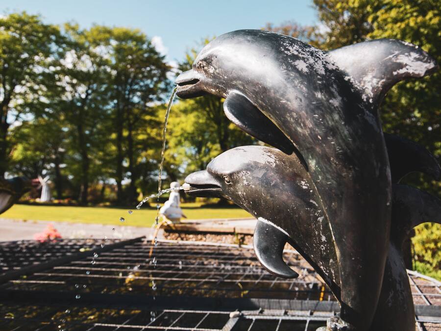 A dolphin fountain sculpture with water flowing from its mouth.