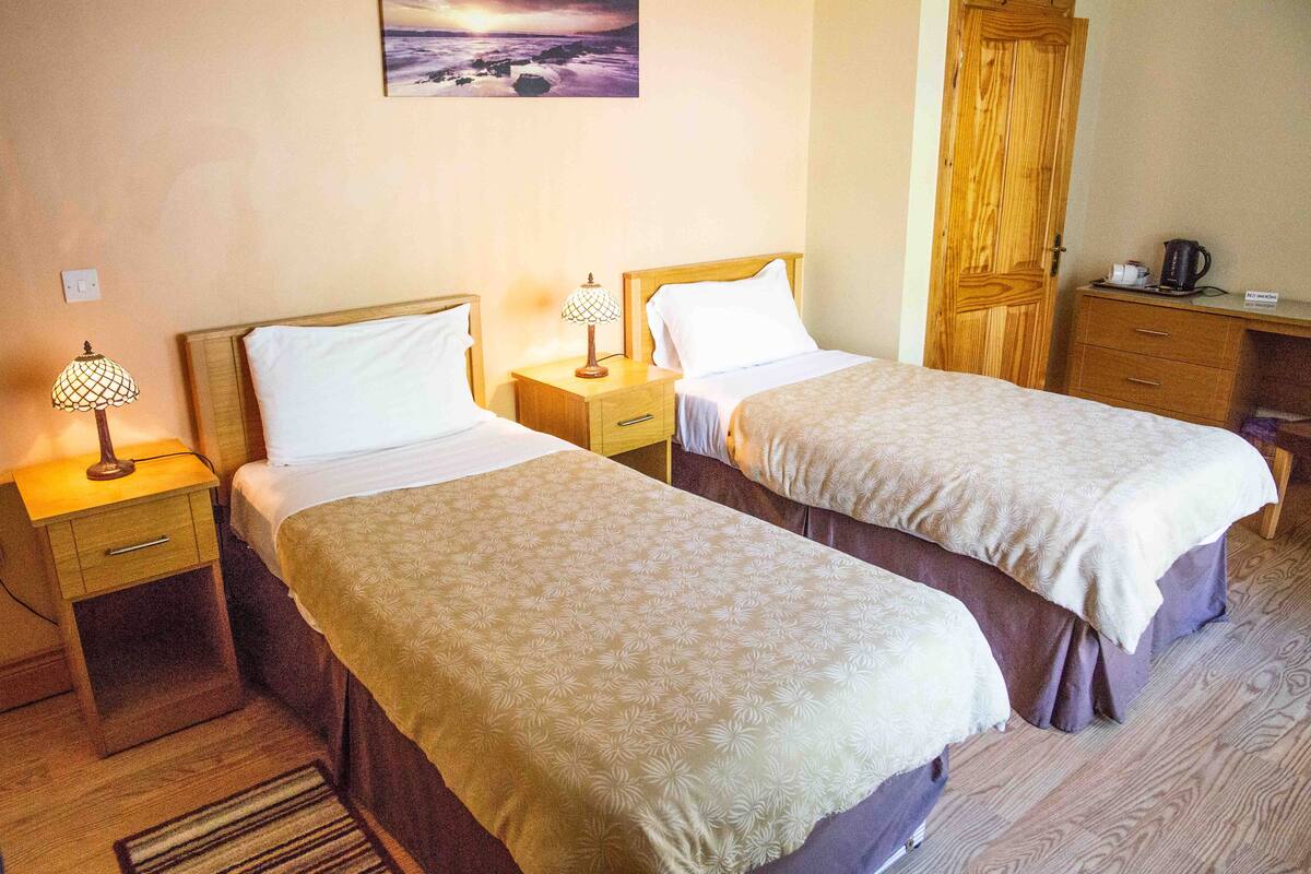 A hotel room with two single beds, wooden nightstands with lamps, a wooden wardrobe, and a desk with a coffee maker.