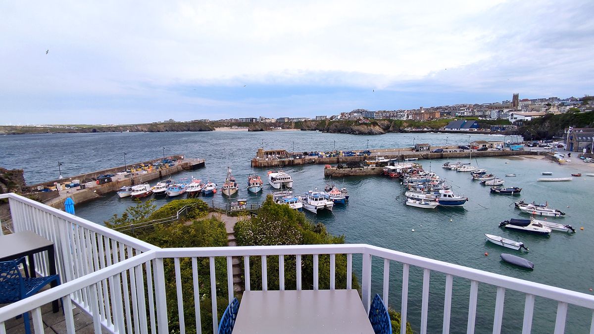 A harbor with numerous boats docked, a white railing, and a view of a town in the background.