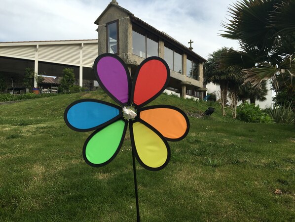 Un girasol con múltiples pétalos de colores en un área verde con un edificio al fondo.