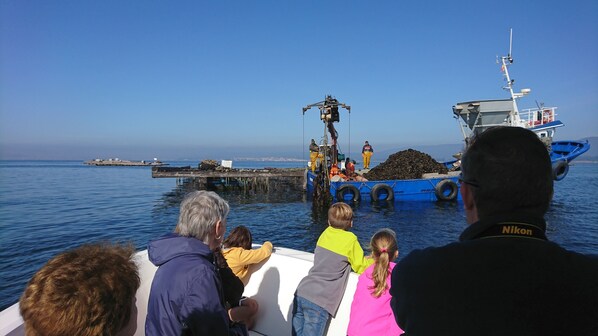 Un grupo de personas en un bote observando una operación de pesca, con una embarcación azul grande al fondo.