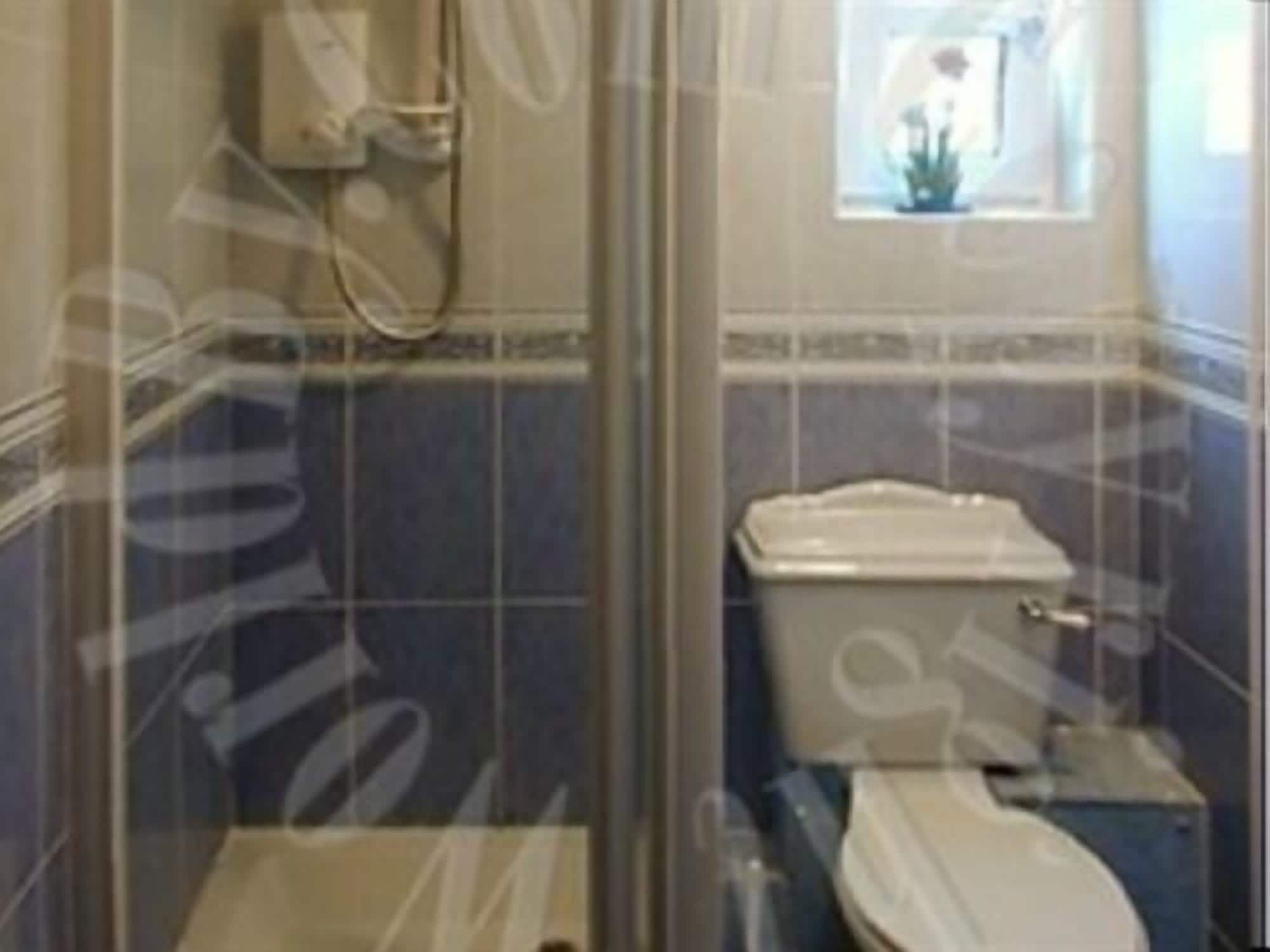 executive suite, private bathroom (sleeps 3  disabled access) | bathroom