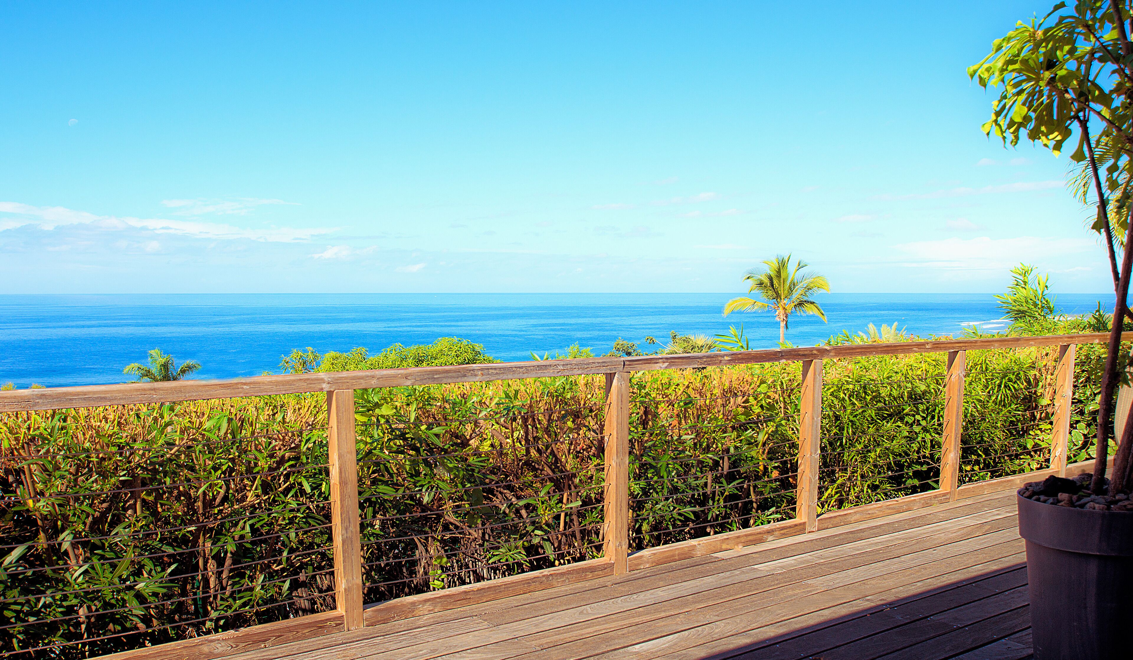 A wooden deck with a view of the ocean and a palm tree.