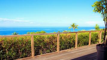 A wooden deck with a view of the ocean and a palm tree.