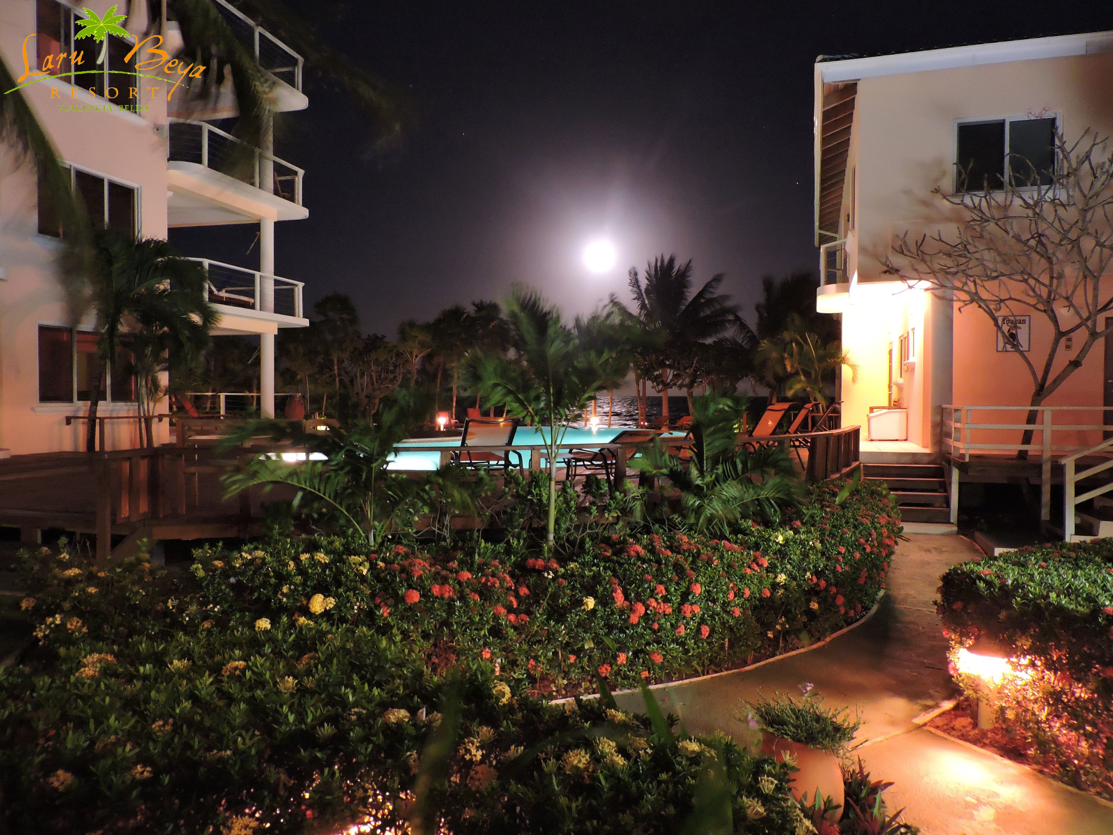 A resort with a pool, palm trees, and a night sky with a visible moon.