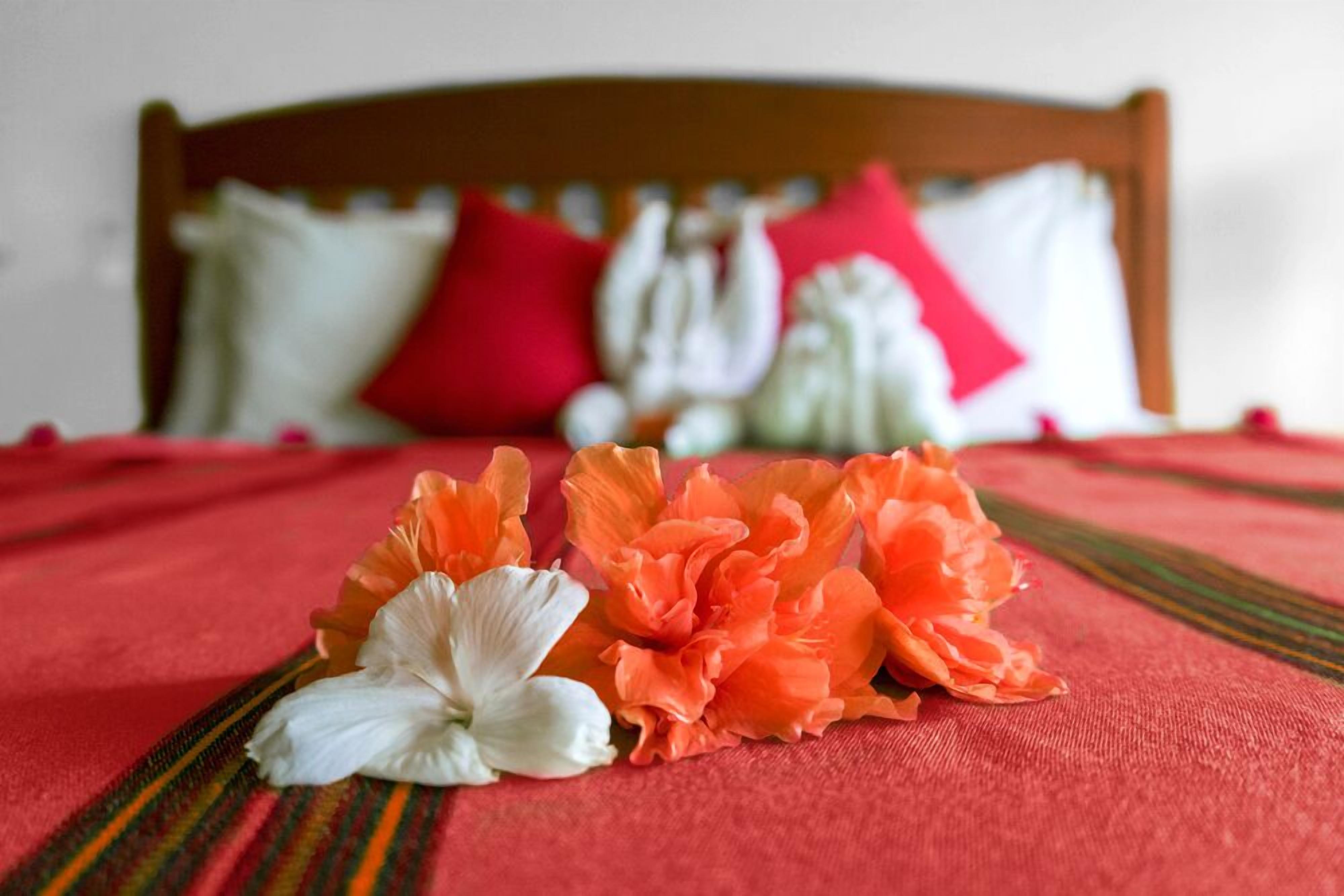 standard room, 1 bedroom, ocean view | 1 bedroom, premium bedding, in-room safe, individually decorated