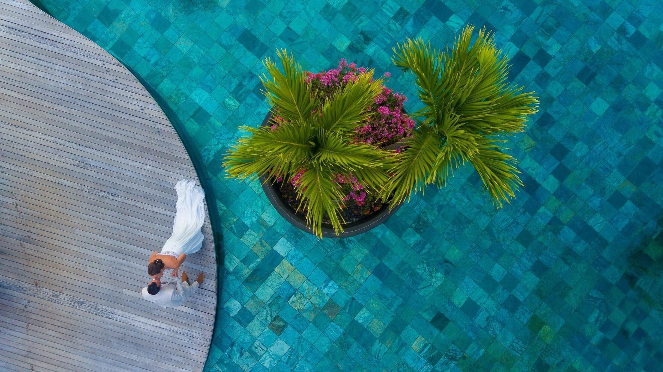 Vista aèria d'una piscina amb un pont de fusta i una jardiniere amb plantes verdes i flors roses.
