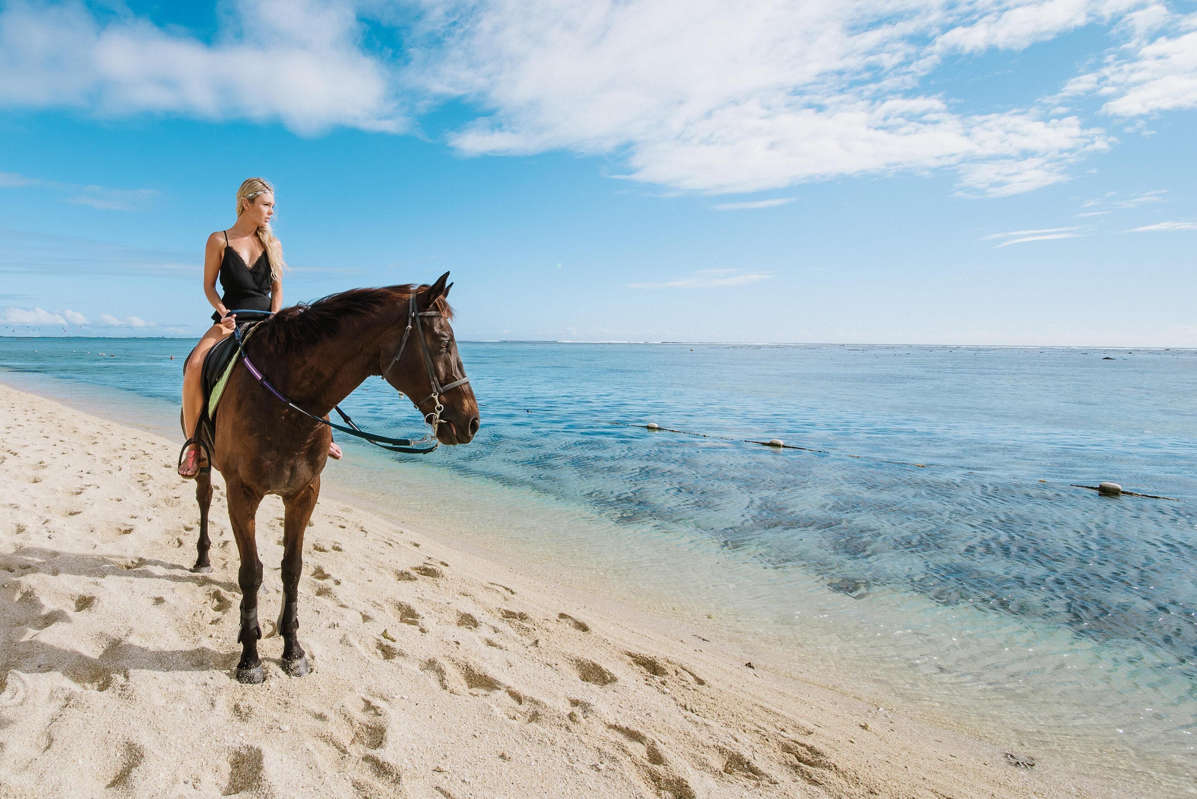 Una persona monta a caballo en una playa con agua cristalina y cielo despejado.
