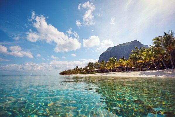 A beach with clear turquoise water, palm trees, and a mountain in the background. - LUX* Le Morne (Le Morne)