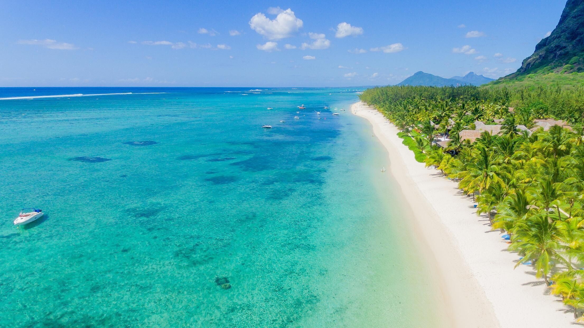 A beach with clear turquoise waters, a sandy shore lined with palm trees, and a mountain in the background.