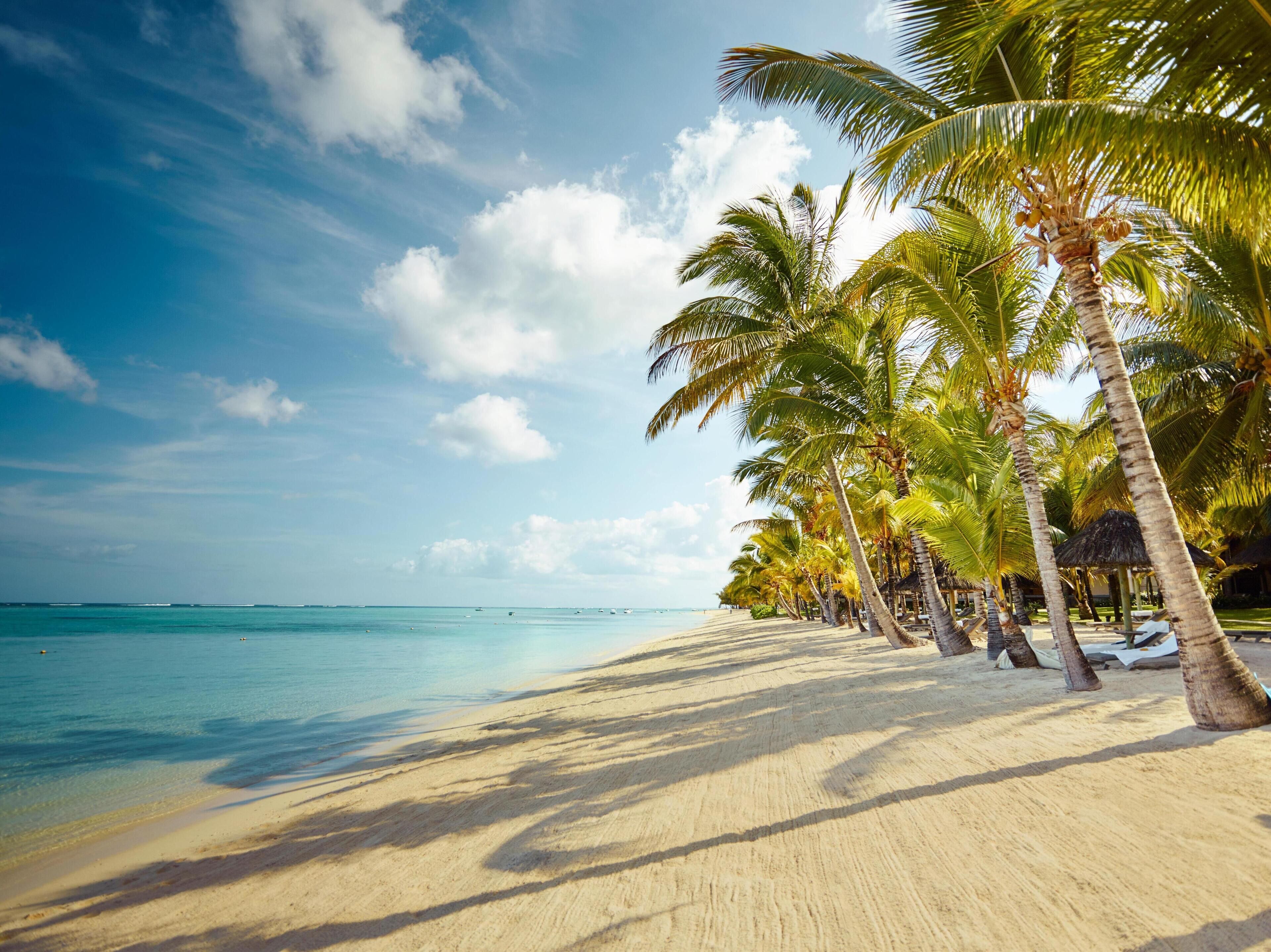 Foto - LUX* Le Morne Resort