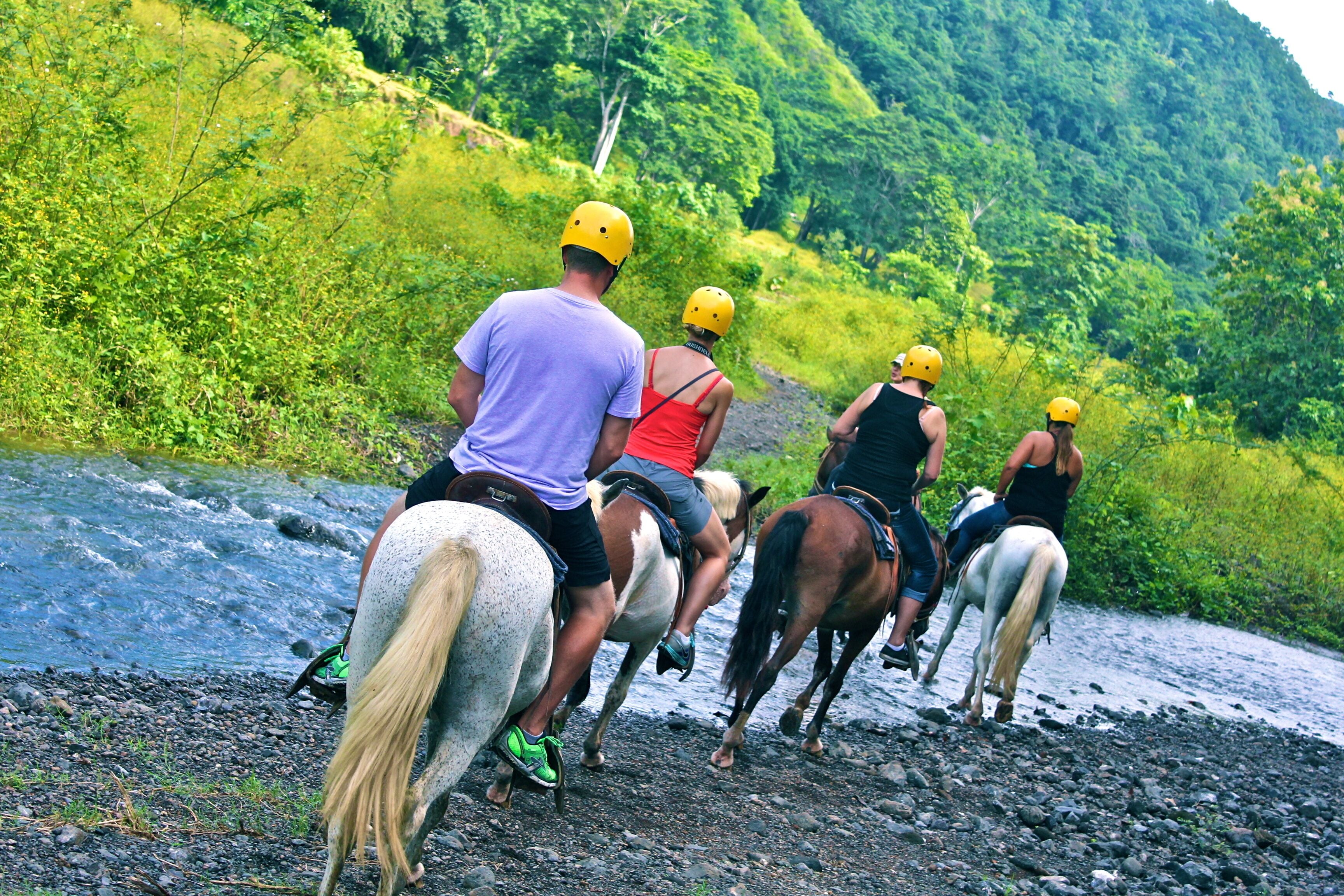 A group of people riding horses along a riverbank with lush greenery in the background.
