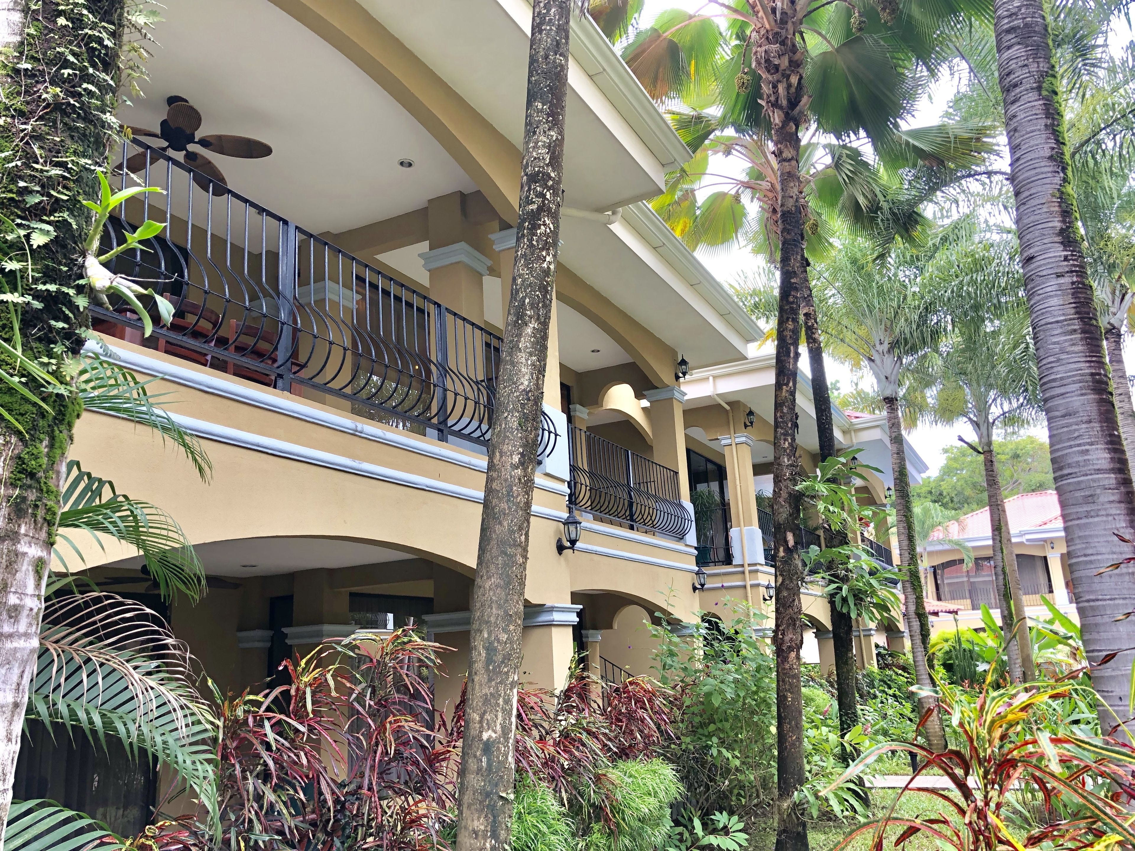 Un hotel de varios pisos con balcones, palmeras y abundante vegetación.