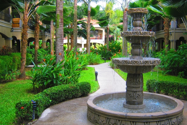 Jardim