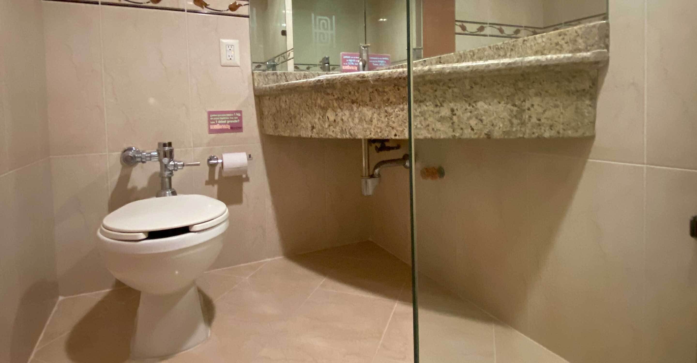 standard room, 1 double bed | bathroom | shower, free toiletries, towels