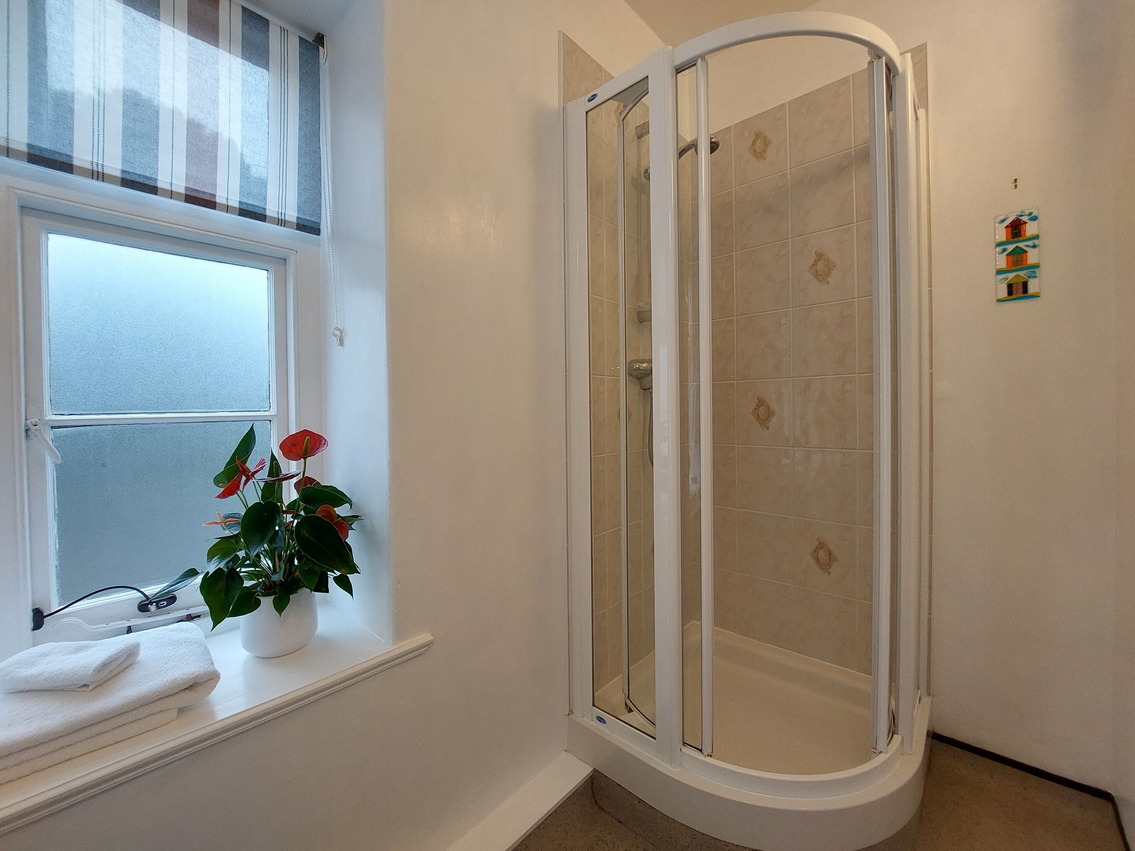 A bathroom with a glass-enclosed shower, a window with a plant, and a towel rack.