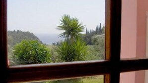 Une vue par une fenêtre à cadre en bois, donnant sur une zone herbeuse avec un palmier et une colline parsemée d’arbres au loin.