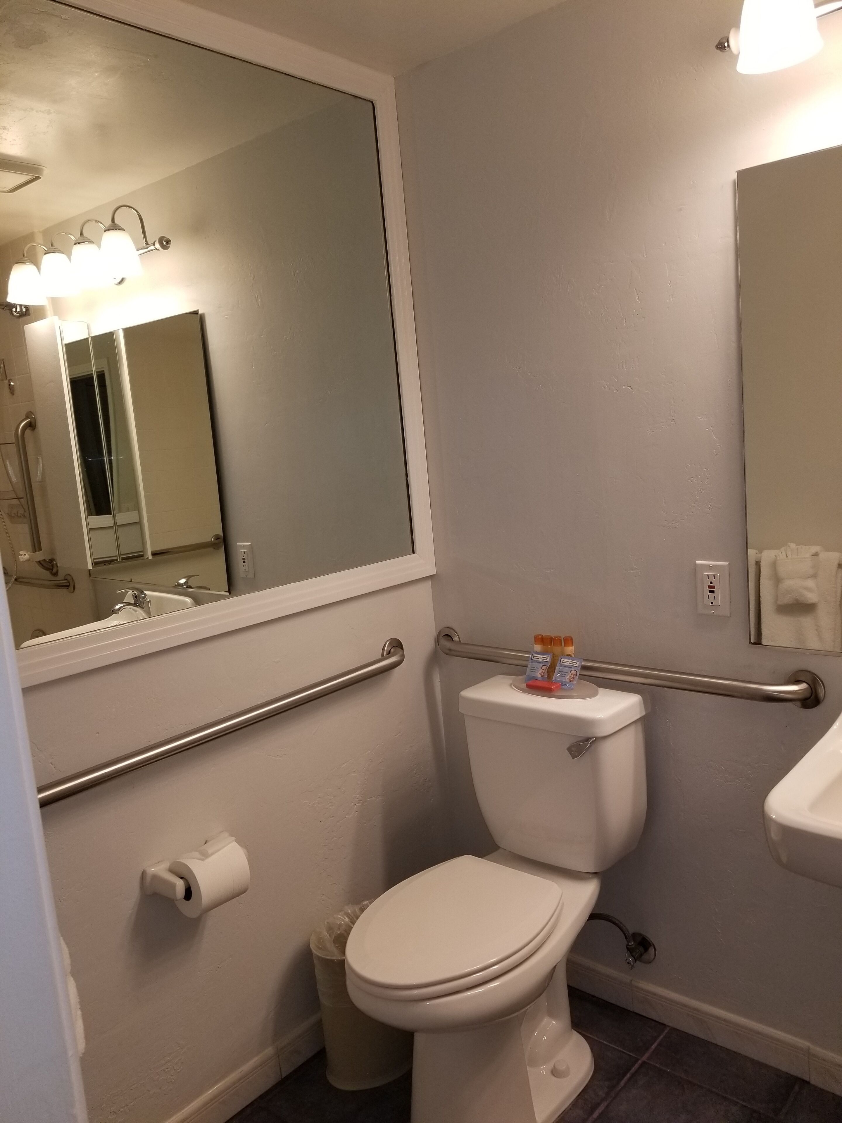 A bathroom with a toilet, a sink, a mirror, and a shower.