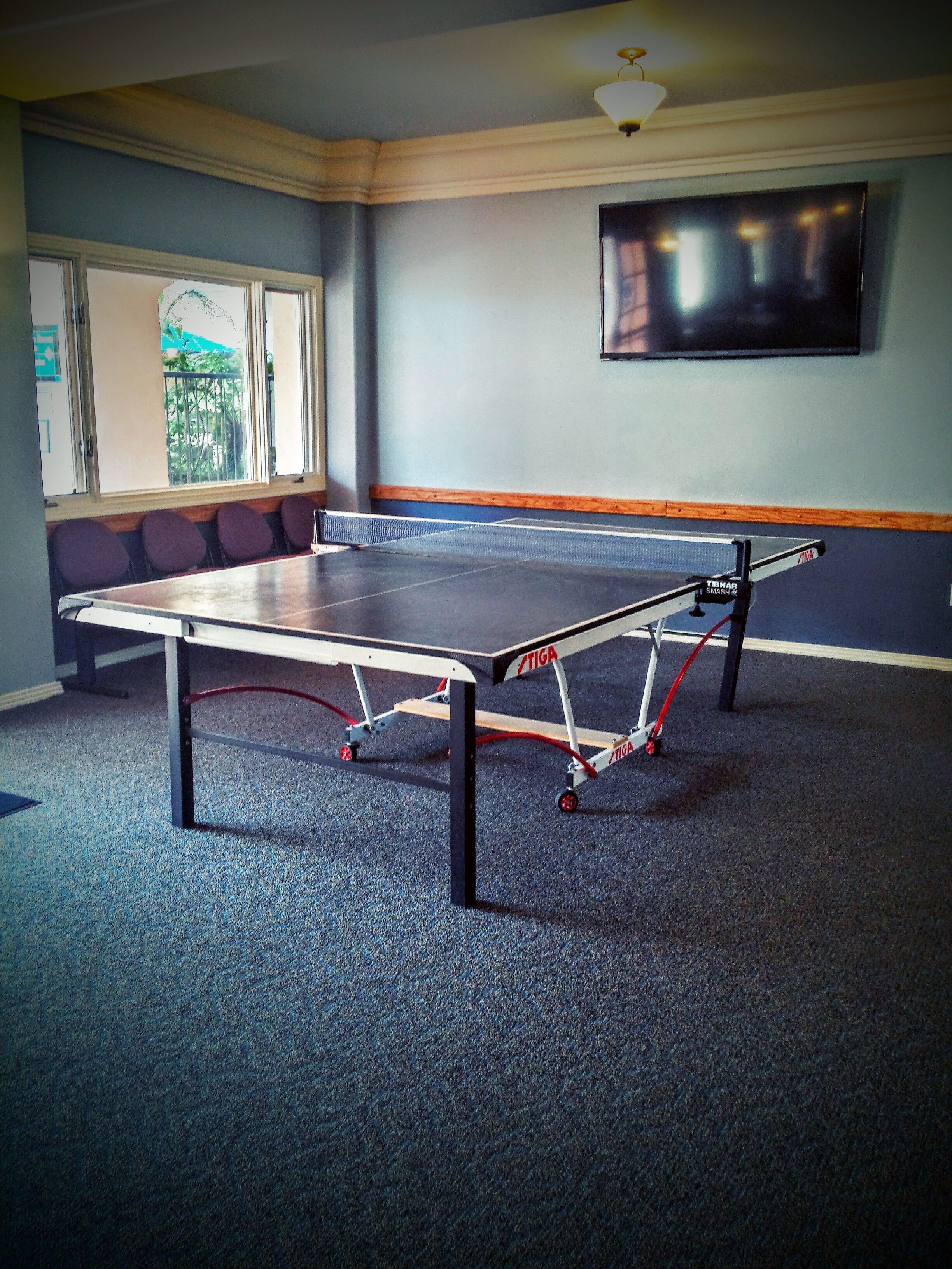 Una mesa de ping pong en una habitación con alfombra azul, una ventana con vistas a vegetación y un televisor montado en la pared.
