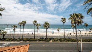 A coastal road with palm trees and a beach in the background. - Tamarack Beach Resort Hotel (Carlsbad)