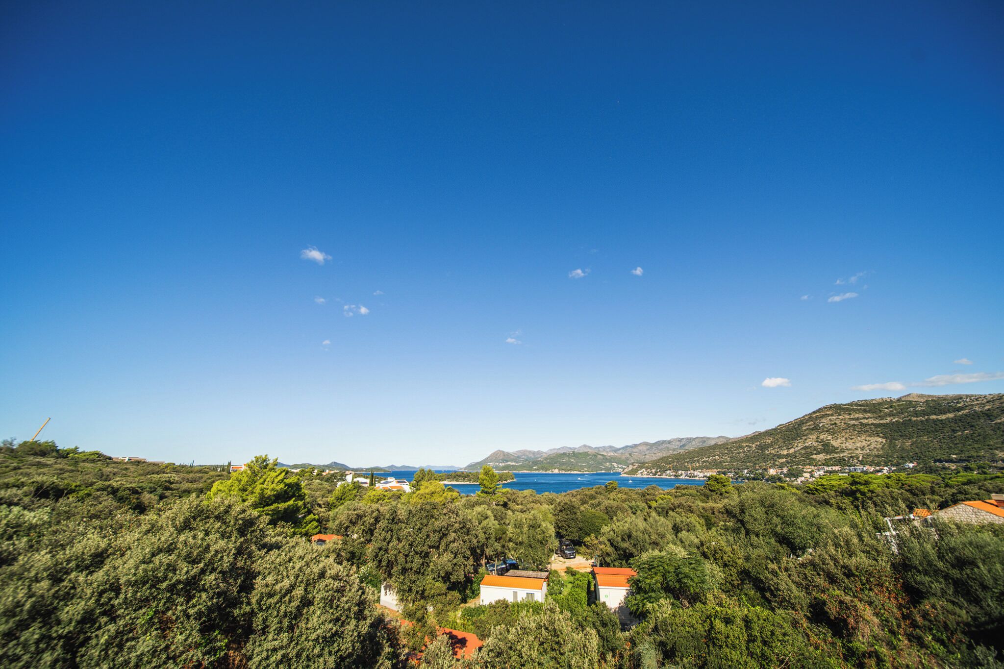 Un paysage côtier caractérisé par une végétation luxuriante, un ciel bleu dégagé et une vue sur la mer.