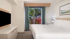 Habitación de hotel con cama, televisión, escritorio y ventana con cortinas.