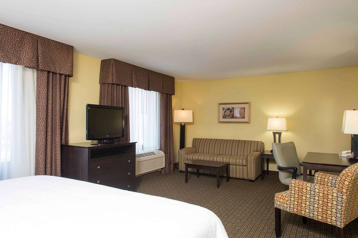 Una habitación de hotel con una cama, televisión, sofá, sillón, escritorio y dos lámparas.