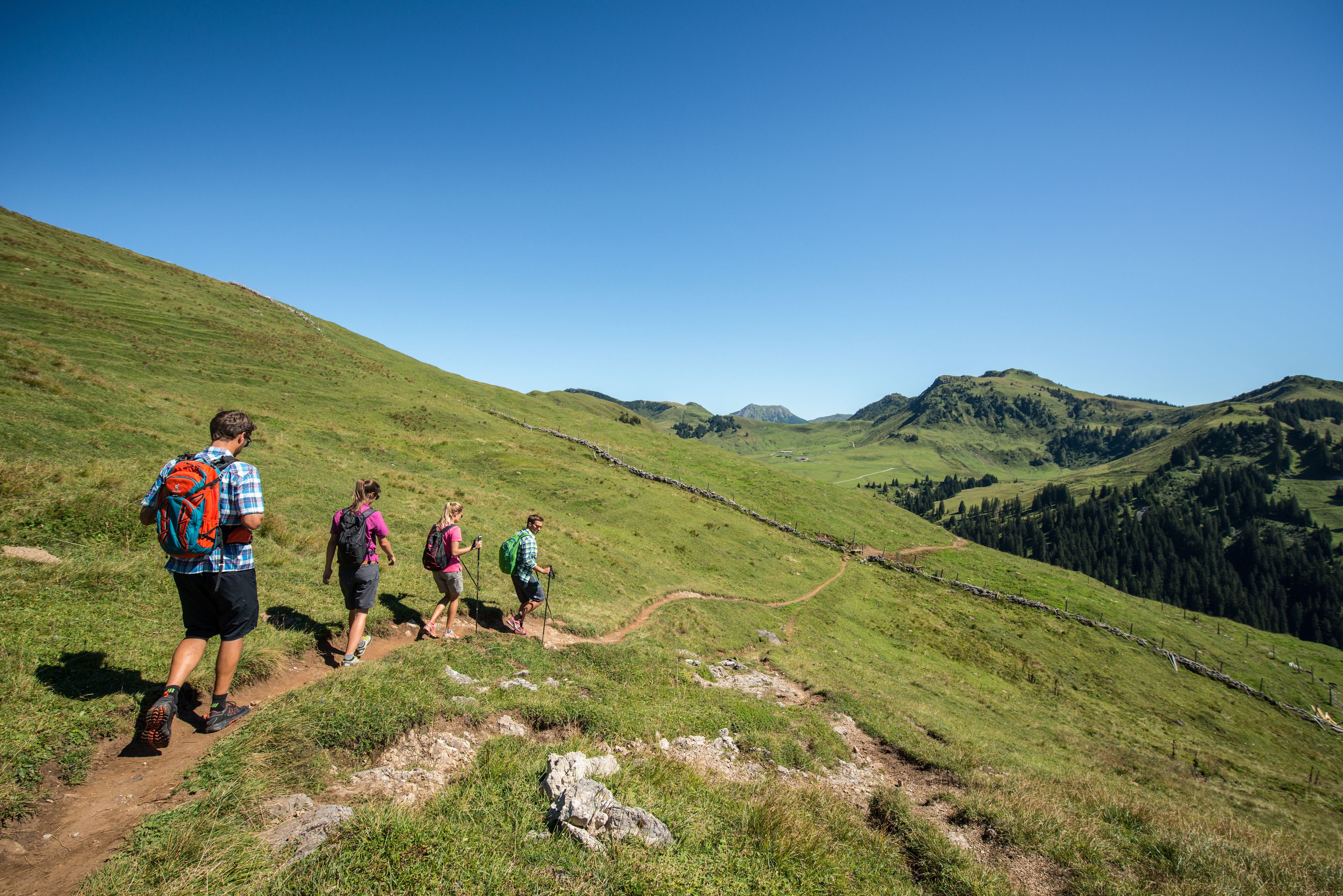 A group of hikers on a dirt trail in a hilly landscape with clear skies.