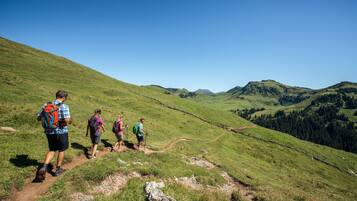 A group of hikers on a dirt trail in a hilly landscape with clear skies.