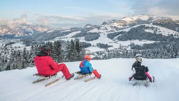 Three people sledding down a snowy slope with a mountainous landscape in the background.