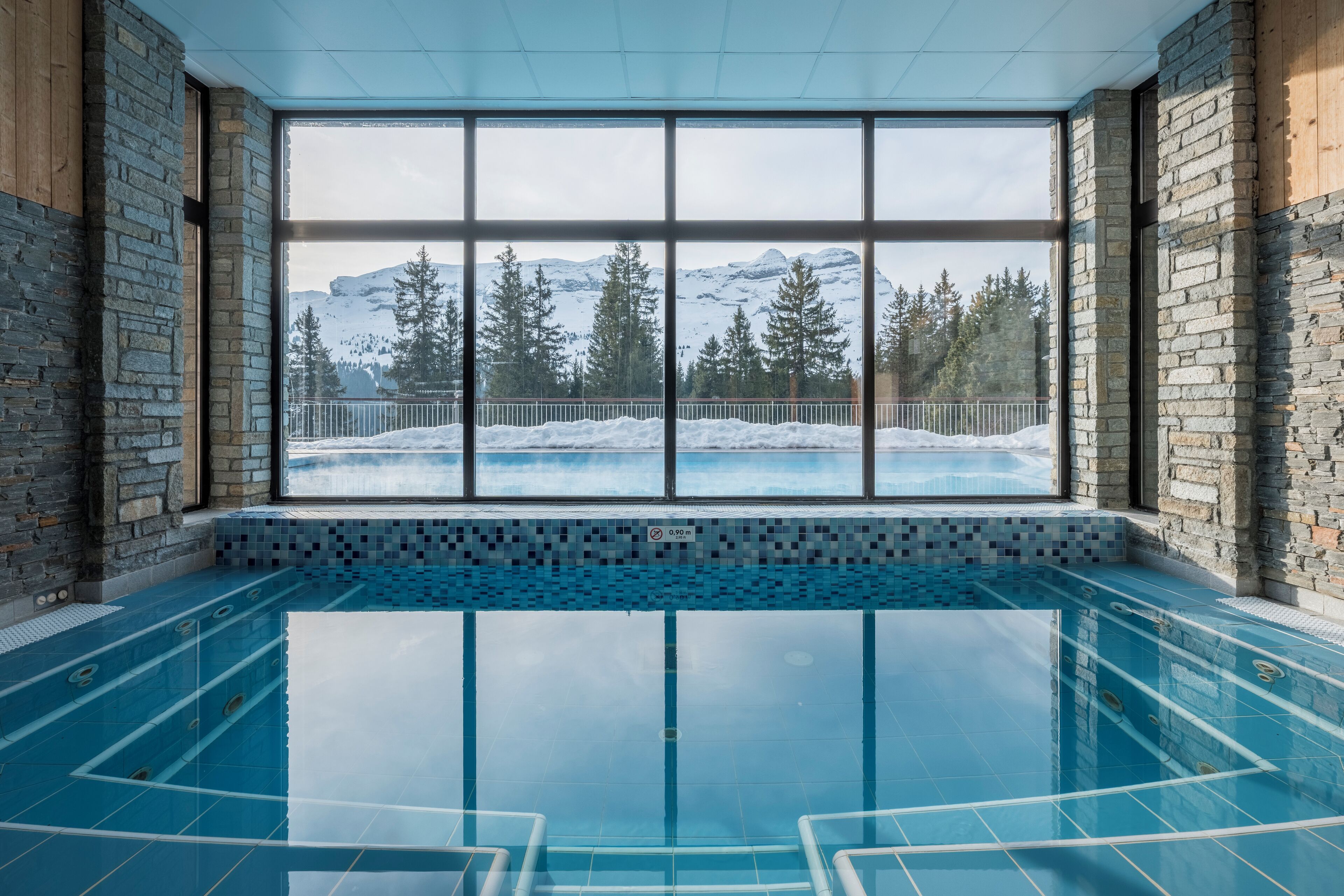 A swimming pool with a view of snow-covered mountains and trees.