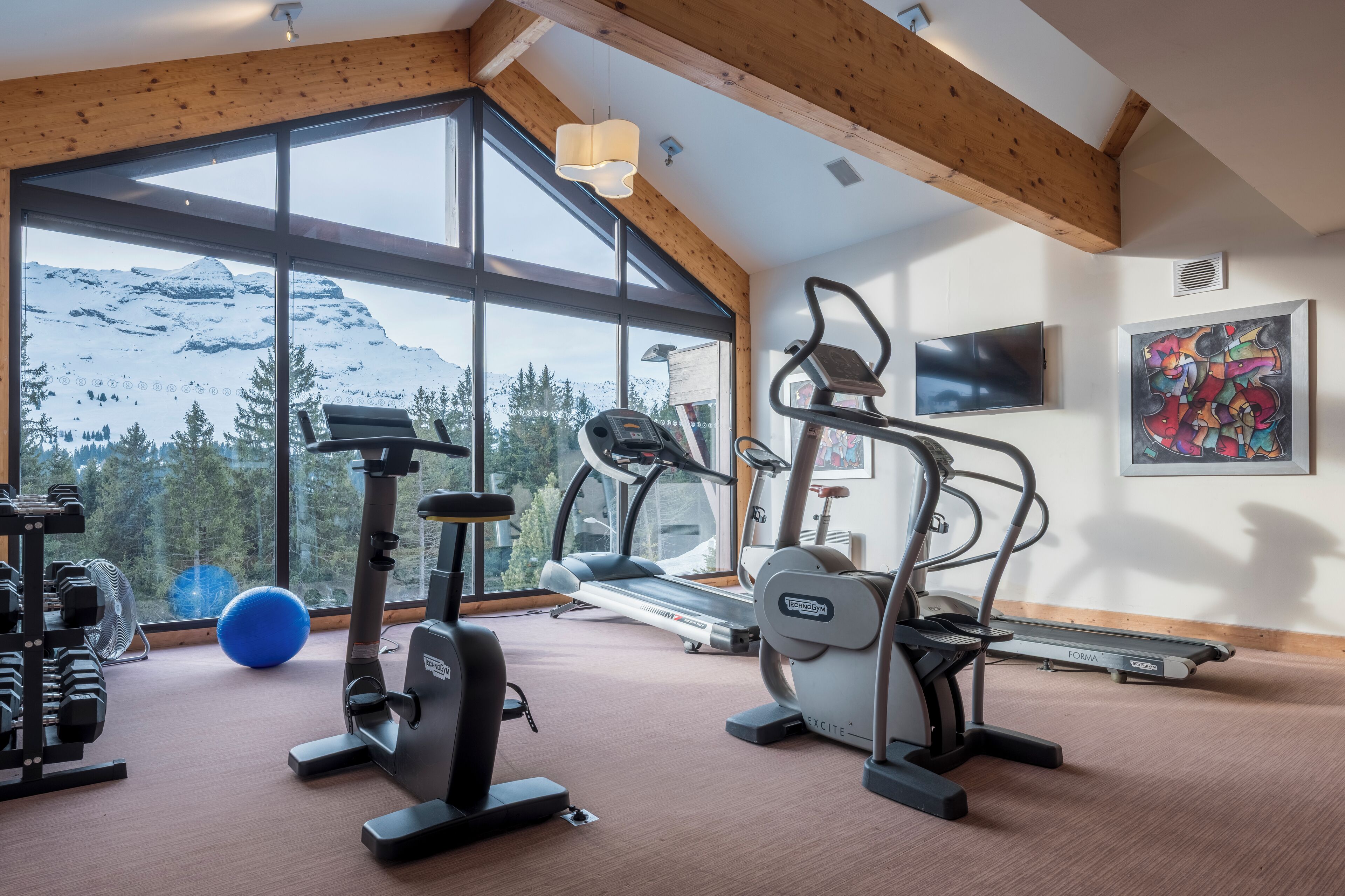 Une salle de sport équipée de matériel d’exercice, dotée de grandes fenêtres et offrant une vue sur la montagne.