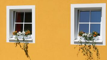 Zwei Fenster mit weißen Rahmen und Blumenkästen mit orangefarbenen und weißen Blumen.