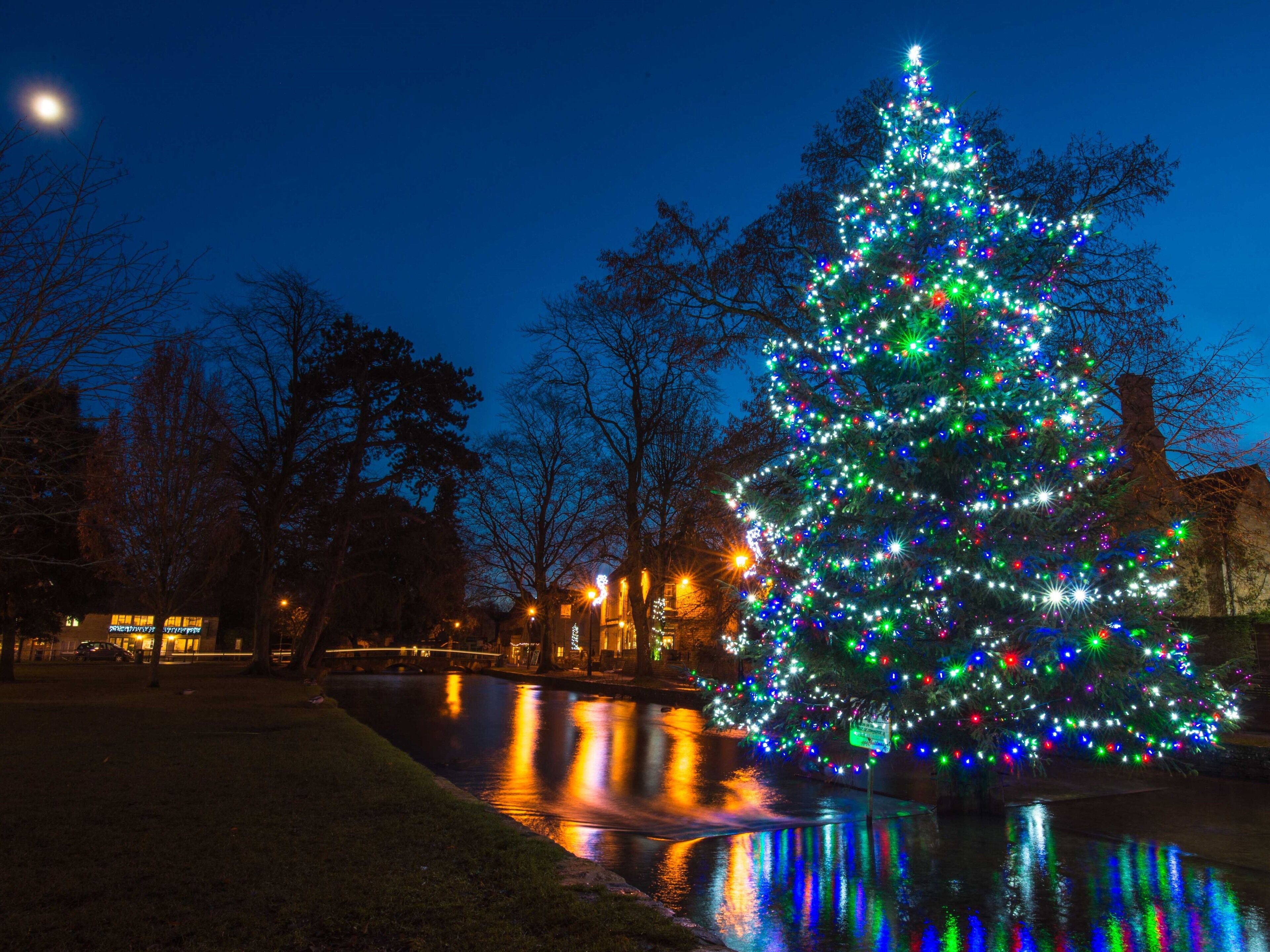 A large Christmas tree decorated with multicolored lights in a park at night.