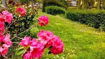 Jardin