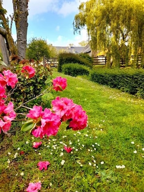 Garden - Hotel Manoir de Mathan (Crepon)