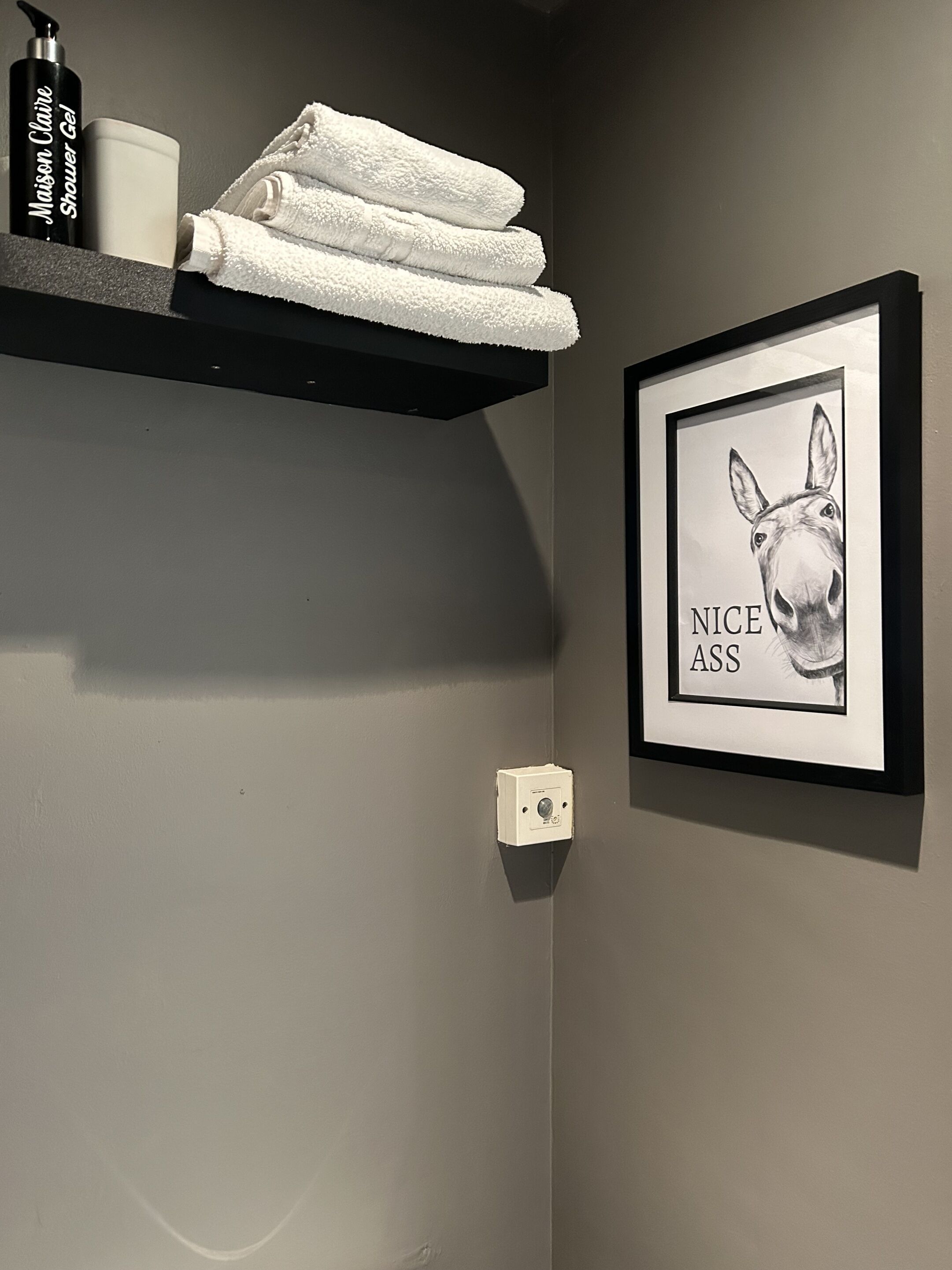 A bathroom with a towel rack holding white towels, a bottle of shower gel, and a framed picture of a donkey with the text "NICE ASS".
