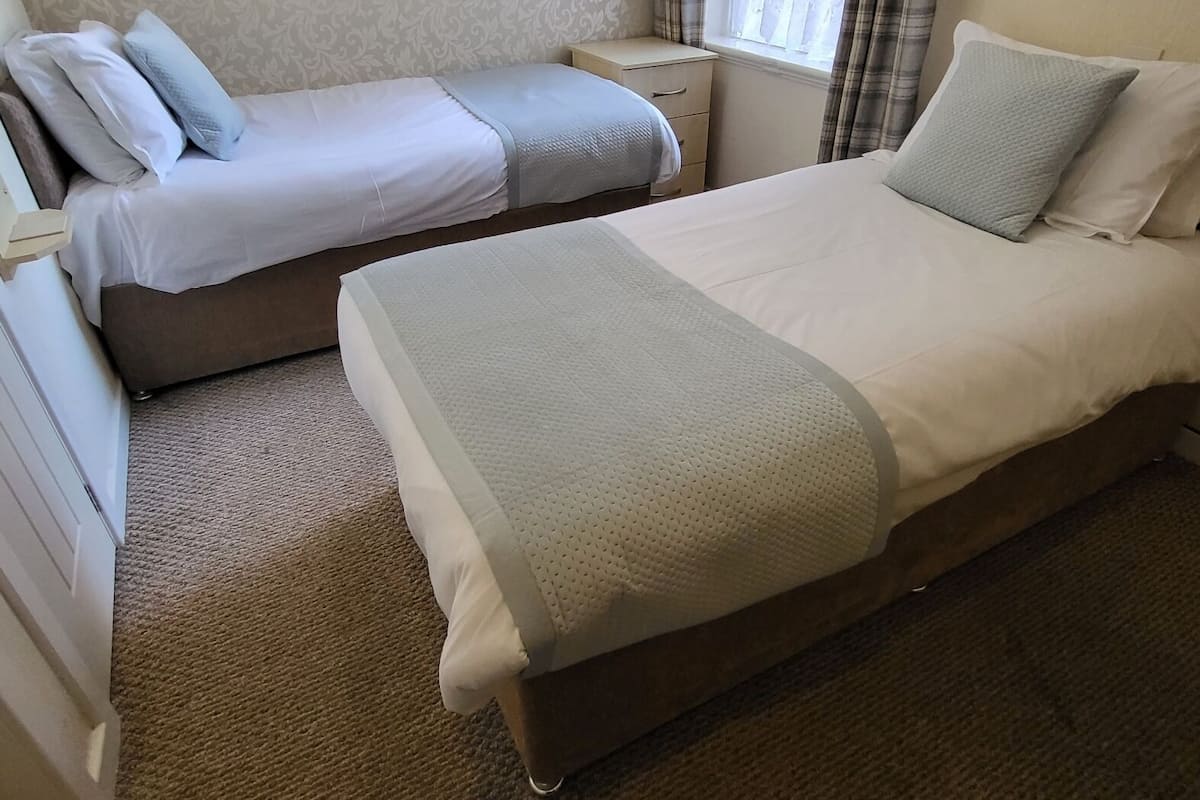 Habitación con 2 camas individuales | Tabla de planchar con plancha, wifi y ropa de cama