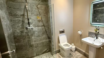 Superior Double Room, 1 King Bed, Accessible | Bathroom | Hair dryer, towels