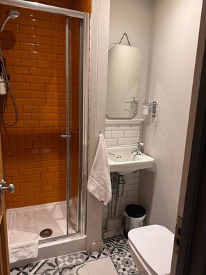 Regadera, secadora de cabello, toallas, jabón 