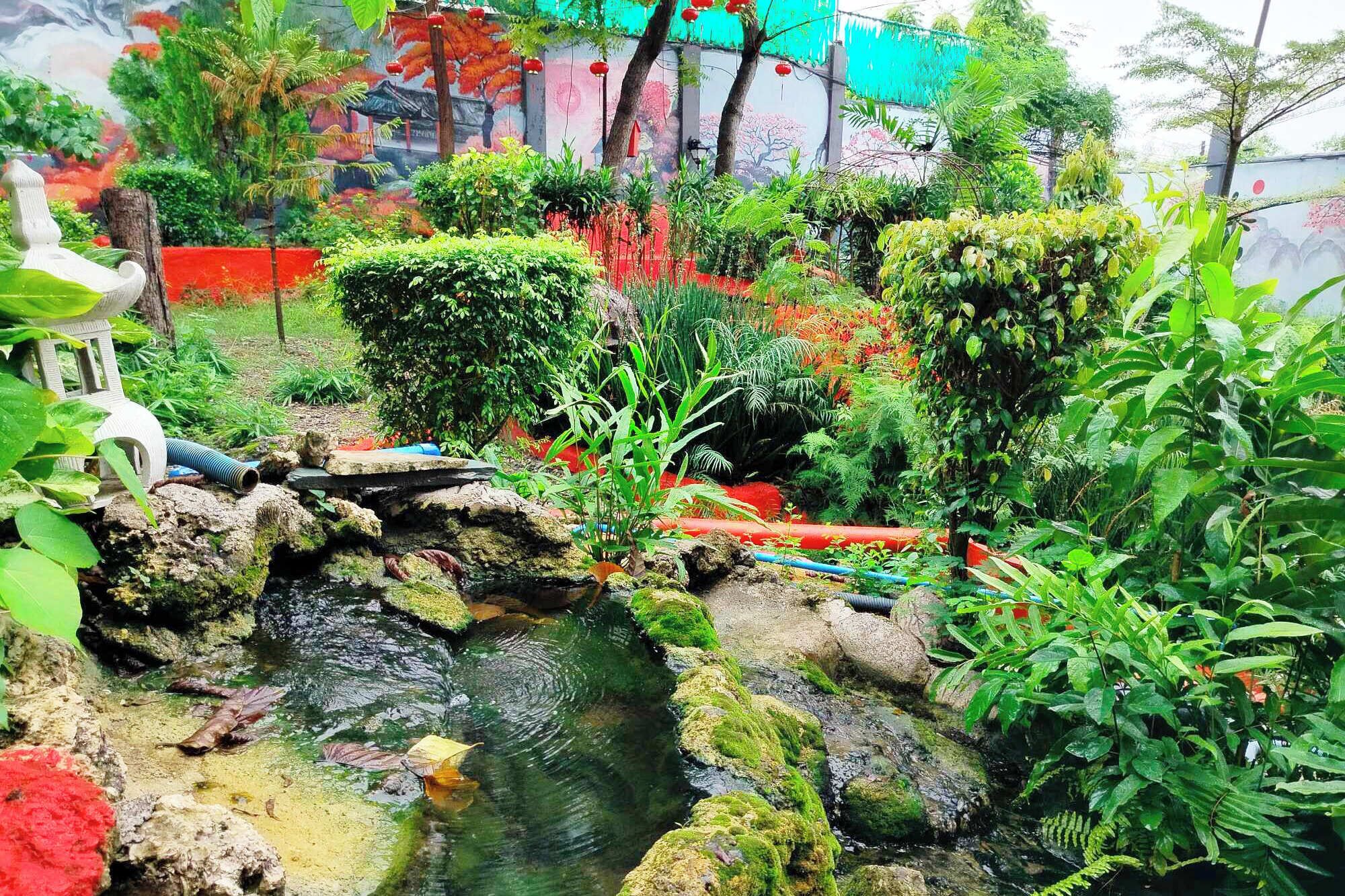 Un jardin avec un étang, des rochers et différentes sortes de plantes.